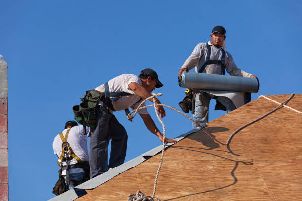 Best Roof Gutter Cleaning  in Lake Magdalene, FL
