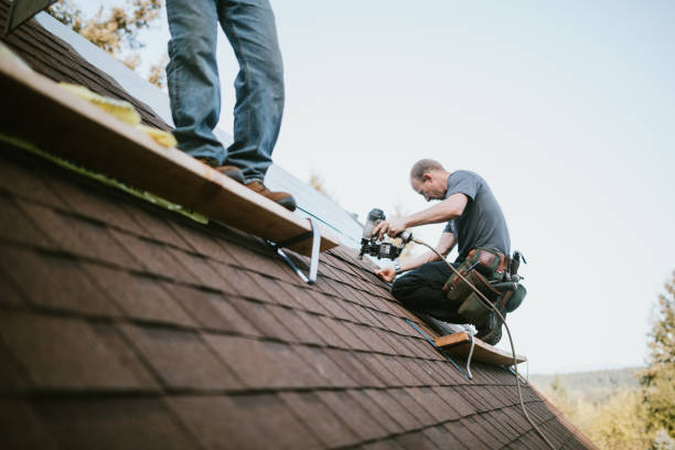 Roof Gutter Cleaning in Lake Magdalene, FL